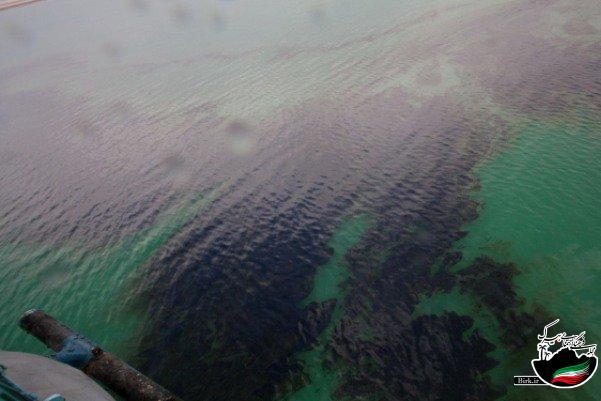 وقوع آلودگی نفتی در بندر شهید بهشتی چابهار صحت ندارد