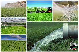 ثبت اطلاعات ۱۳۵ هزار بهره بردار بخش کشاورزی سیستان وبلوچستان در سامانه جامع پهنه بندی