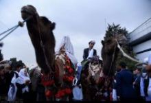 عروسی سنتی در بلوچستان