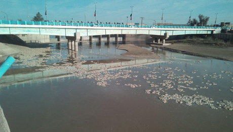 حقوق ایران در بهره‌برداری از رودخانه هیرمند