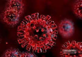 ویروس کرونا در سراوان سیستان و بلوچستان